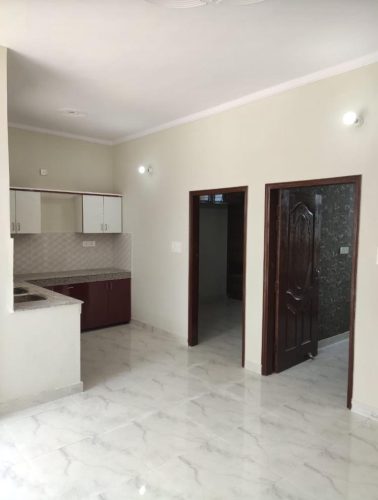 WhatsApp Image 2024-11-24 at 11.27.39 AM